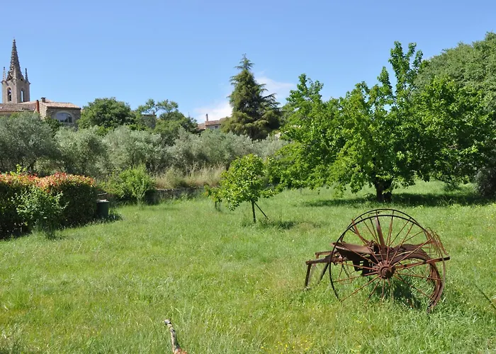 Terre D'Oliviers